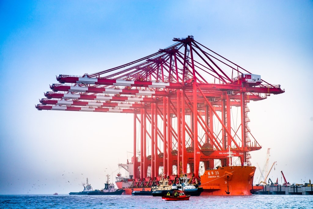 CRANES-11-1024x683.jpg